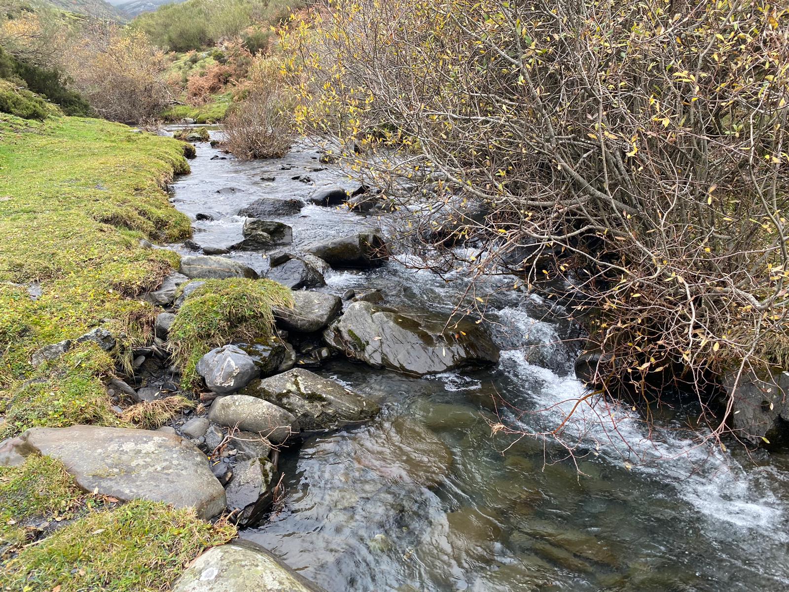 Imagen de la cascada del Reguero Cándano