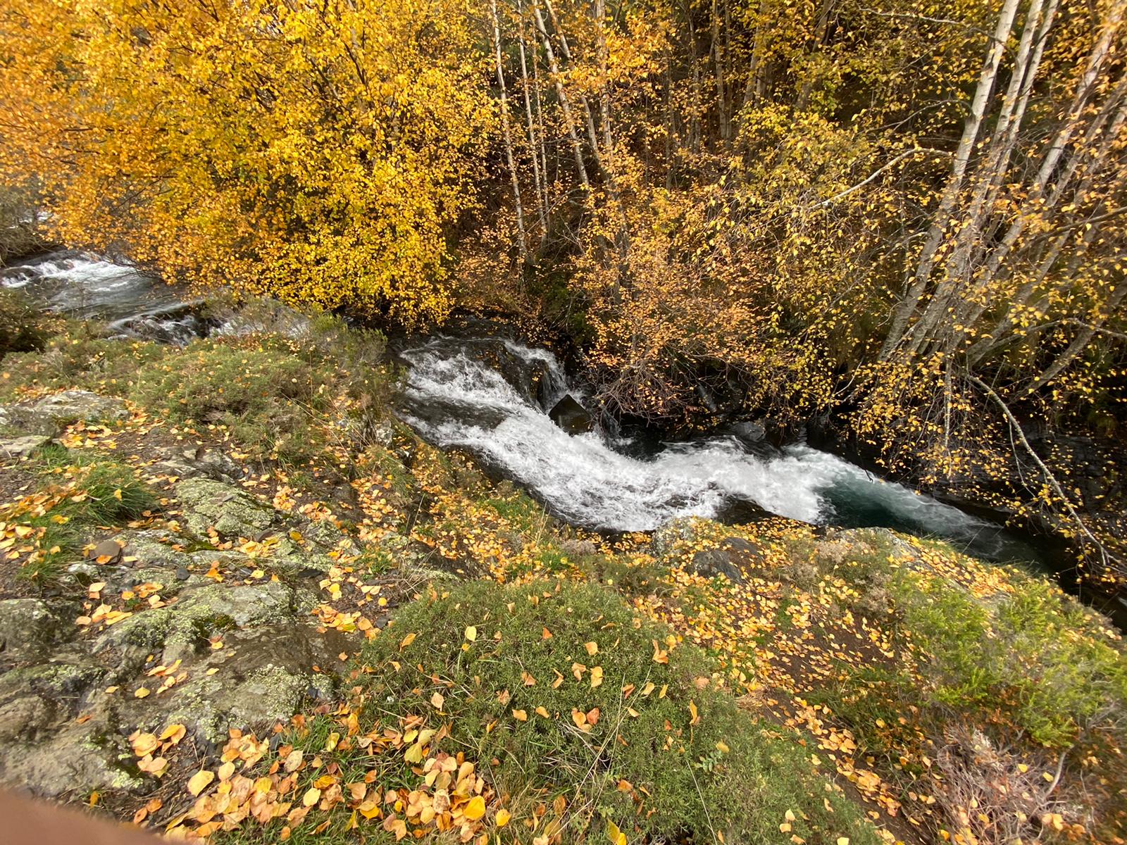 Imagen de la cascada del Reguero Cándano