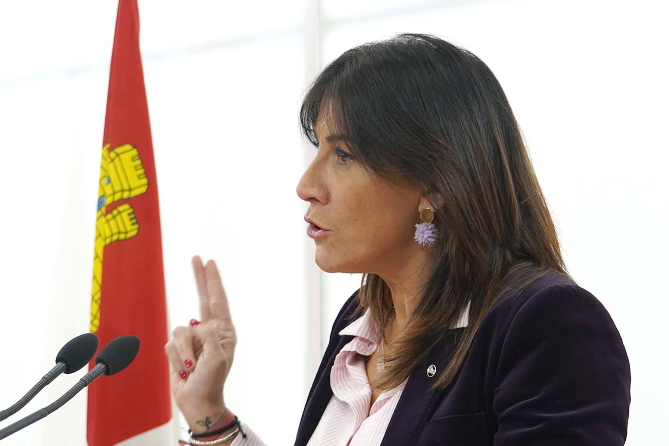 Fotos: Permanente de Organización del PSOECyL