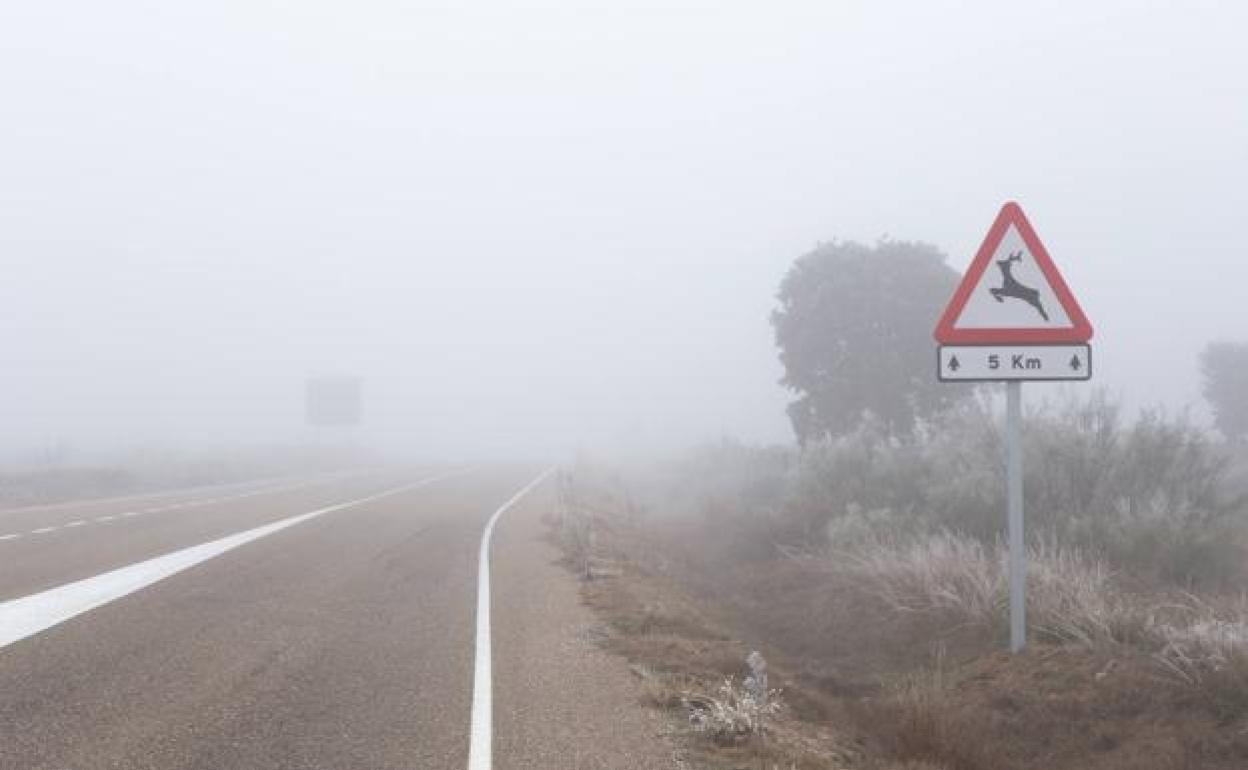 Niebla en las carreteras leonesas. 