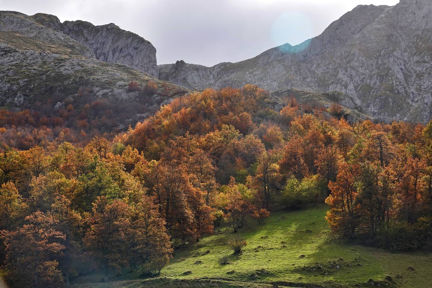 Los colores del otoño, e incluso el blanco de la nieve, ya han teñido los rincones de los Picos de Europa, uno de los lugares más imponentes de Asturias. En este espacio encontraremos las cumbres más altas de la Cordillera Cantábrica como la más emblemática: el Picu Urriellu o Naranjo de Bulnes con sus 2.519 metros de altitud. Un total de 67.127 hectáreas que conforman una de las mejores reservas mundiales de los ecosistemas ligados al bosque atlántico.