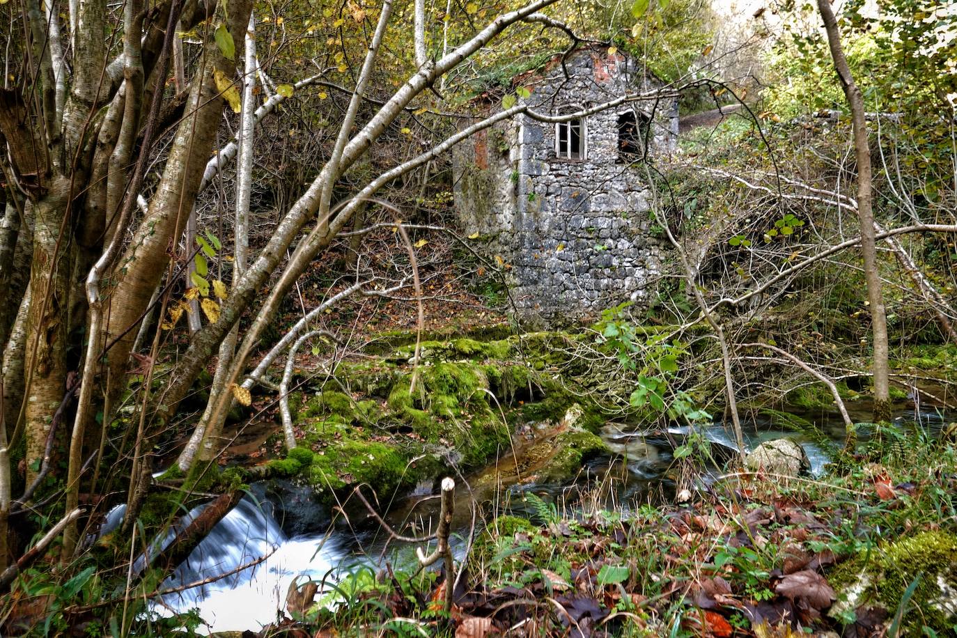 Los colores del otoño, e incluso el blanco de la nieve, ya han teñido los rincones de los Picos de Europa, uno de los lugares más imponentes de Asturias. En este espacio encontraremos las cumbres más altas de la Cordillera Cantábrica como la más emblemática: el Picu Urriellu o Naranjo de Bulnes con sus 2.519 metros de altitud. Un total de 67.127 hectáreas que conforman una de las mejores reservas mundiales de los ecosistemas ligados al bosque atlántico.