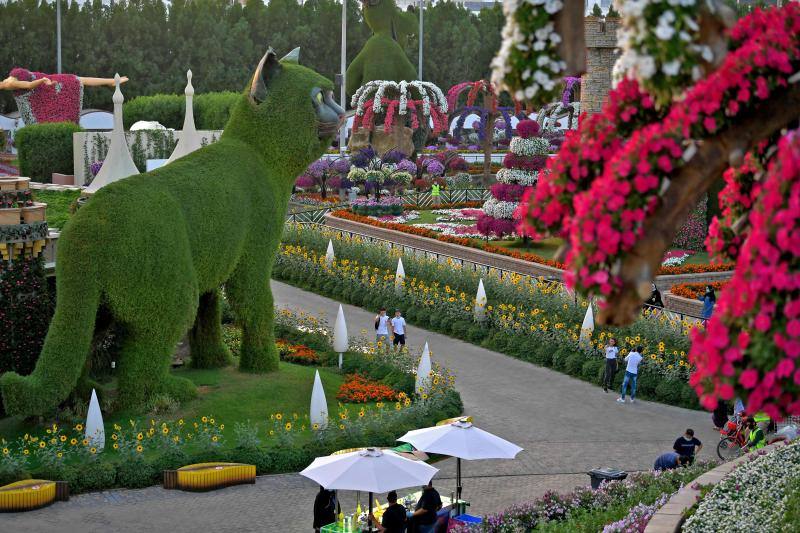 El Dubai Miracle Garden, el jardín de flores más grande del mundo, es el hogar de gigantes estructuras y millones de variedades de flores y plantas. Allí habitan enormes gatos, aviones que parecen hechos a escala real, caballos que multiplican su tamaño o gigantes elefantes. Y todas estas construcciones tienen en común que están realizadas con flores y plantas. 