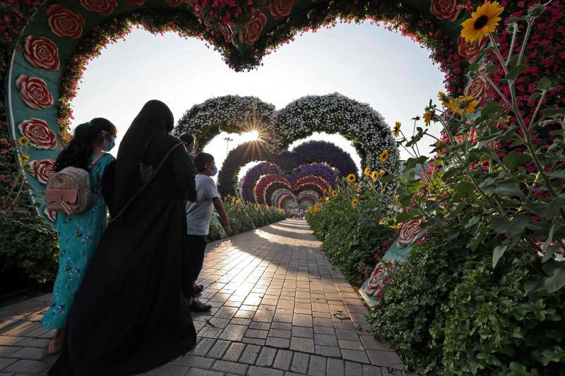 El Dubai Miracle Garden, el jardín de flores más grande del mundo, es el hogar de gigantes estructuras y millones de variedades de flores y plantas. Allí habitan enormes gatos, aviones que parecen hechos a escala real, caballos que multiplican su tamaño o gigantes elefantes. Y todas estas construcciones tienen en común que están realizadas con flores y plantas. 