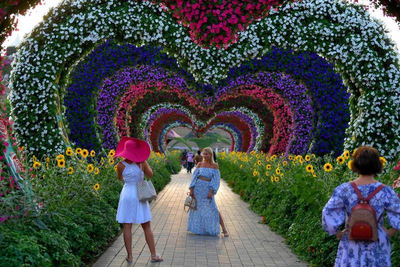 El Dubai Miracle Garden, el jardín de flores más grande del mundo, es el hogar de gigantes estructuras y millones de variedades de flores y plantas. Allí habitan enormes gatos, aviones que parecen hechos a escala real, caballos que multiplican su tamaño o gigantes elefantes. Y todas estas construcciones tienen en común que están realizadas con flores y plantas. 