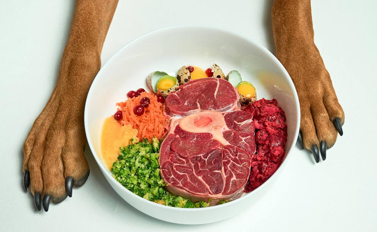 ¿Qué carne cruda se le puede dar a un perro?