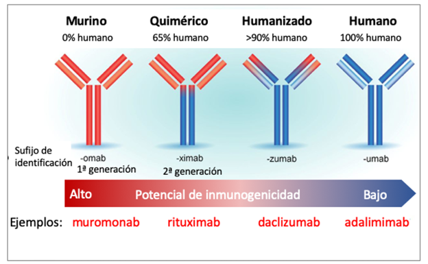 Figura 3. Tipos de anticuerpos monoclonales y ejemplos de fármacos aprobados.