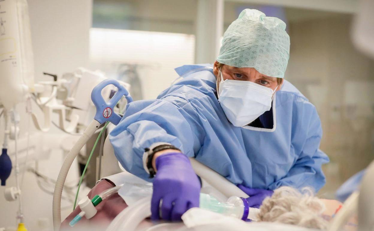 Imagen de un médico en una unidas UCI atendiendo a un paciente covid.