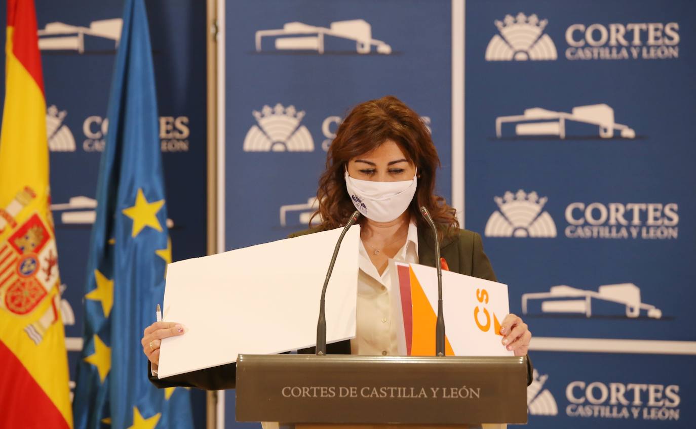 Fotos: Ciudadanos presenta iniciativas contra la Ley Celaá en Castilla y León