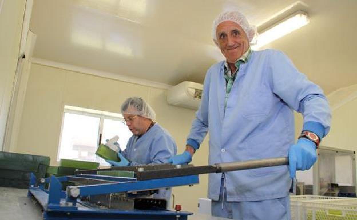 Dos personas con discapacidad, durante su jornada laboral. 