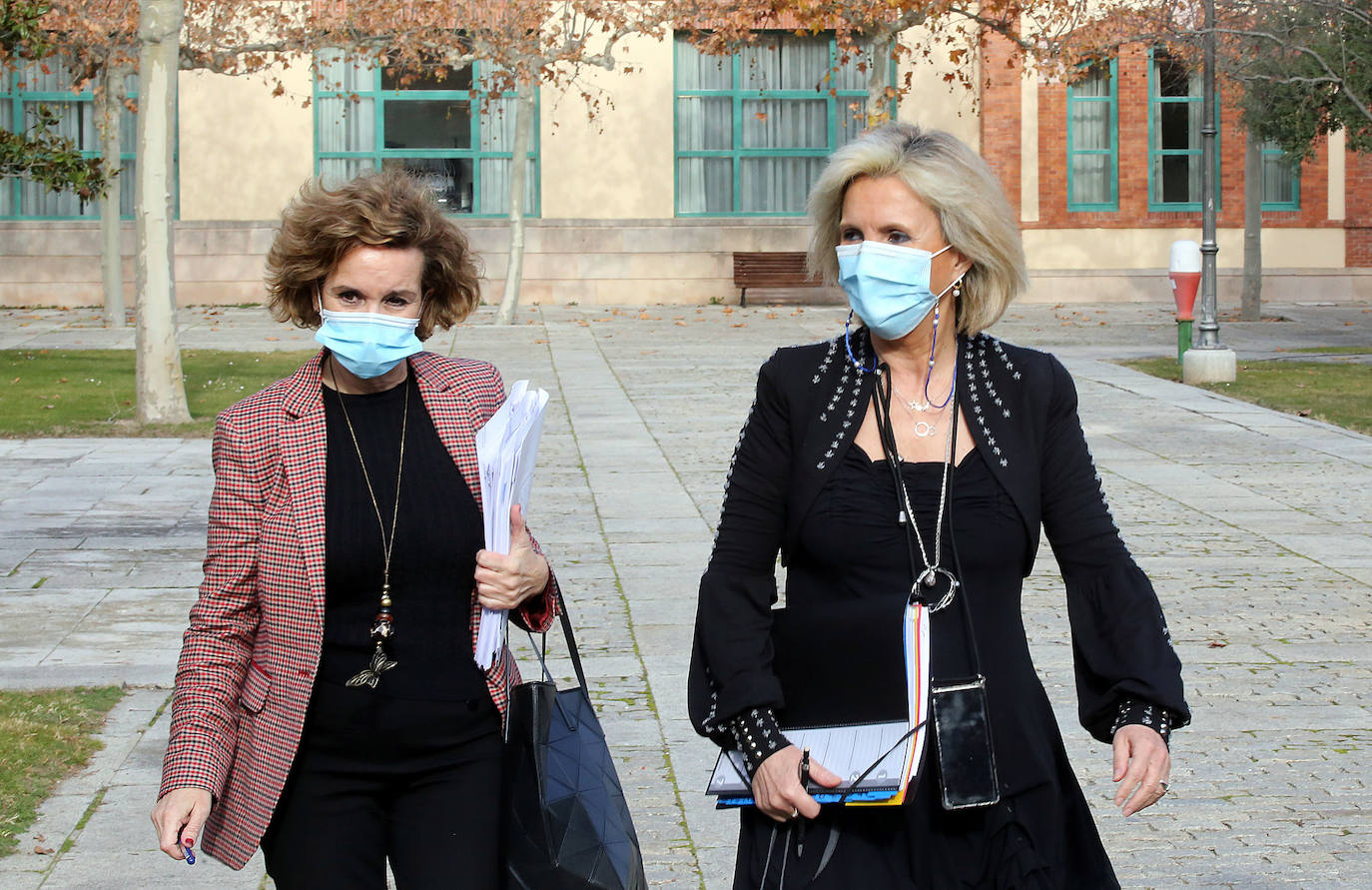 Fotos: La consejera de Sanidad informa de la situación del covid-19