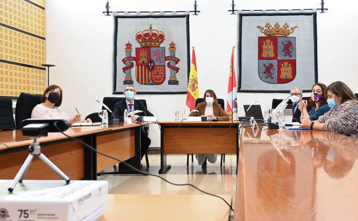 Imagen de la reunión telemática mantenida este lunes. 