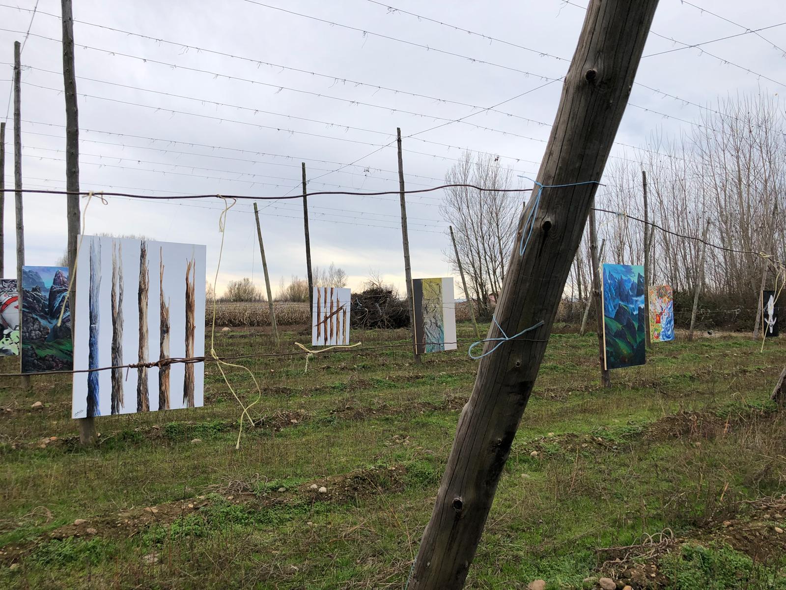 Esta exposición «Alambradas del Arte» tiene lugar hasta el día 9 de diciembre en una finca de lúpulo de Carrizo de la Ribera