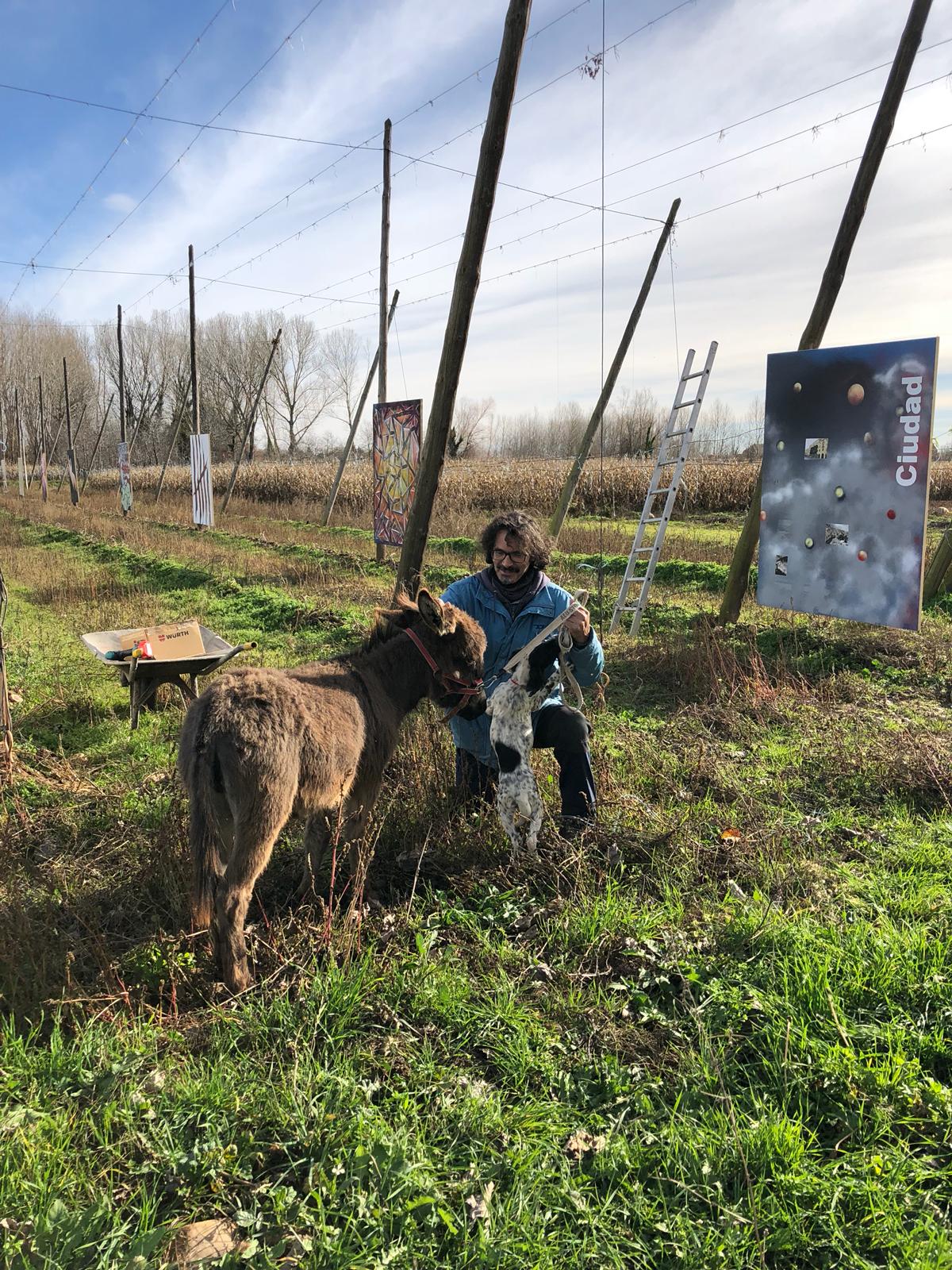 Esta exposición «Alambradas del Arte» tiene lugar hasta el día 9 de diciembre en una finca de lúpulo de Carrizo de la Ribera