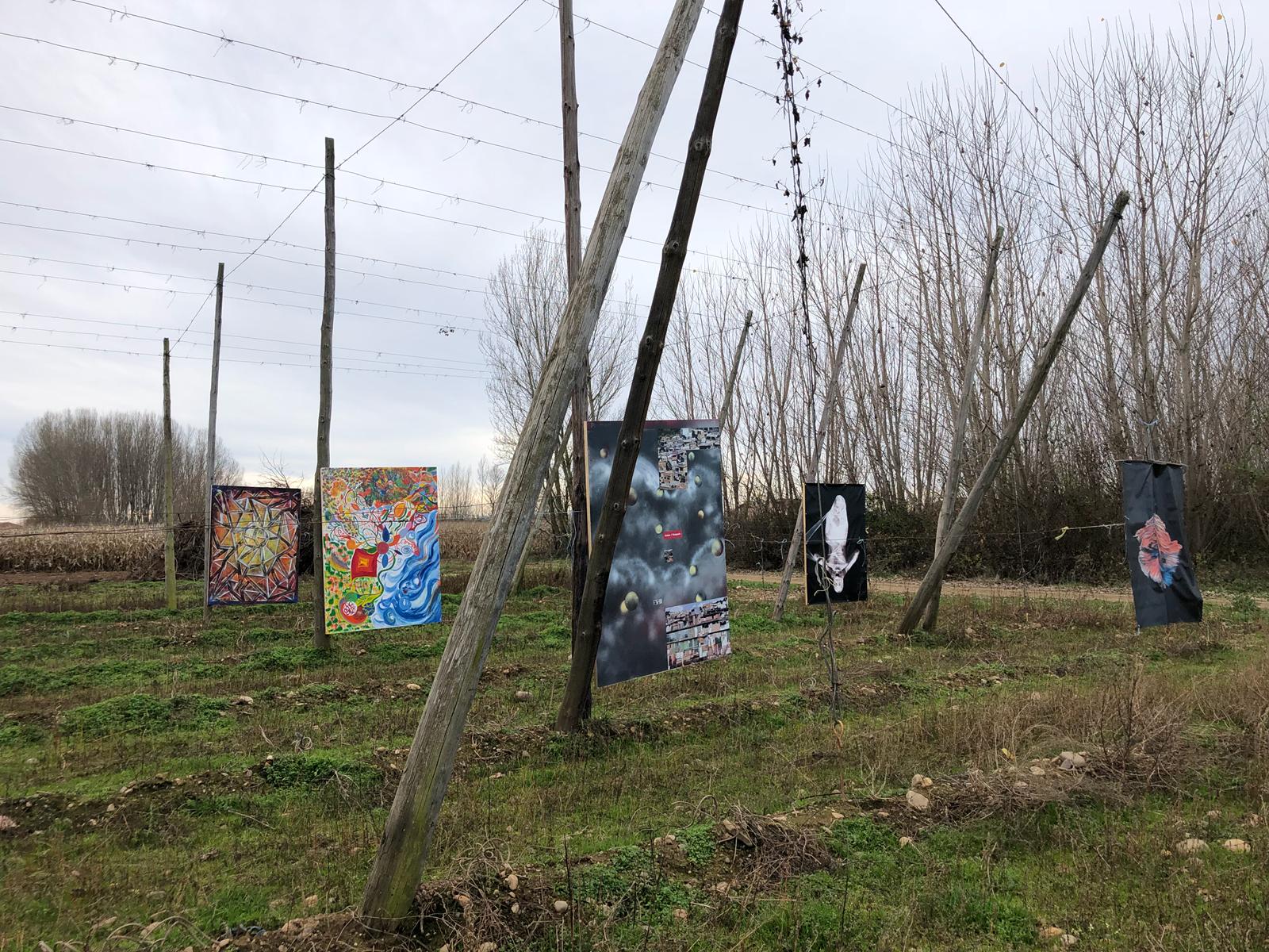 Esta exposición «Alambradas del Arte» tiene lugar hasta el día 9 de diciembre en una finca de lúpulo de Carrizo de la Ribera