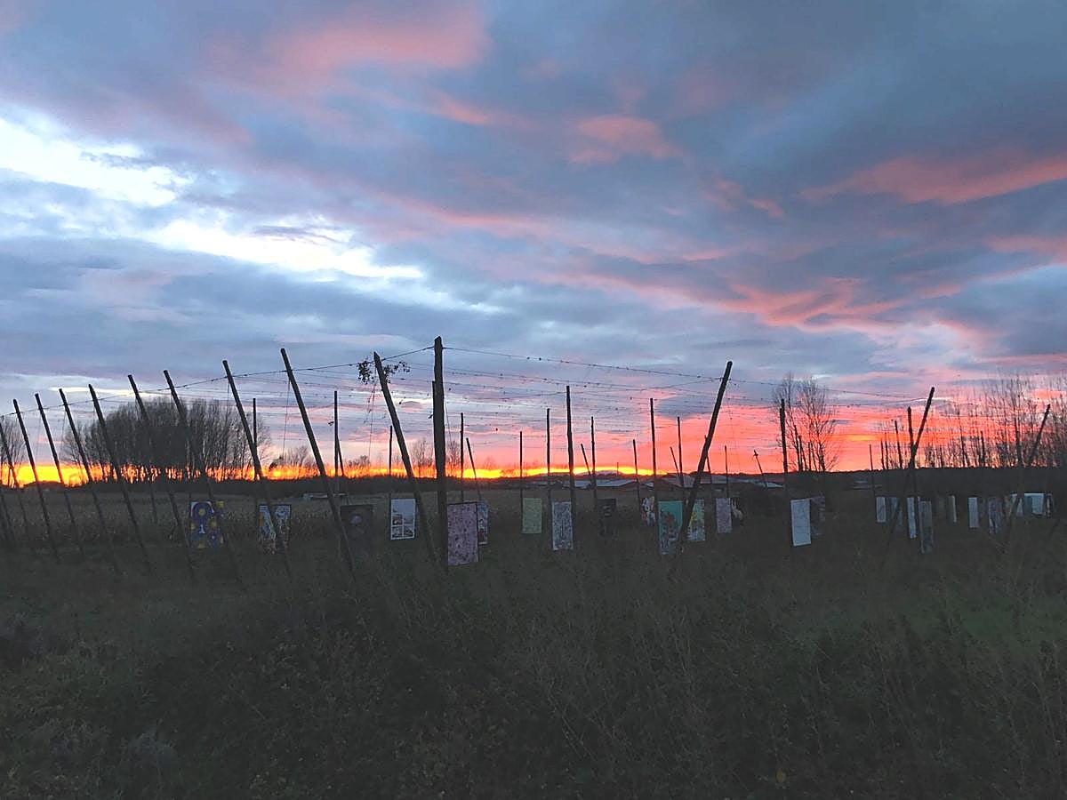 Esta exposición «Alambradas del Arte» tiene lugar hasta el día 9 de diciembre en una finca de lúpulo de Carrizo de la Ribera