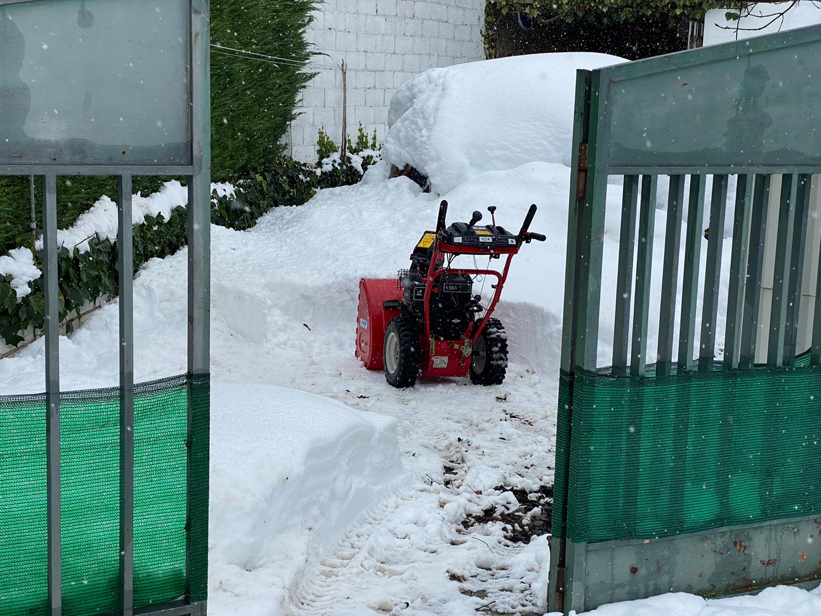 Fotos: La nieve tiñe de blanco el norte de la provincia