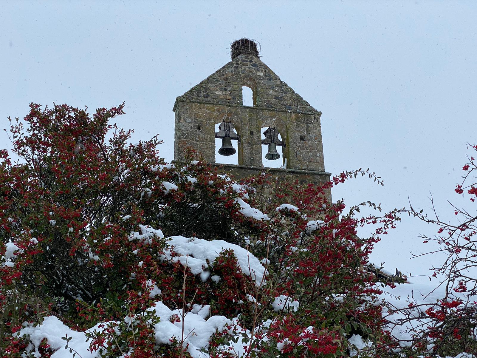 Fotos: La nieve tiñe de blanco el norte de la provincia