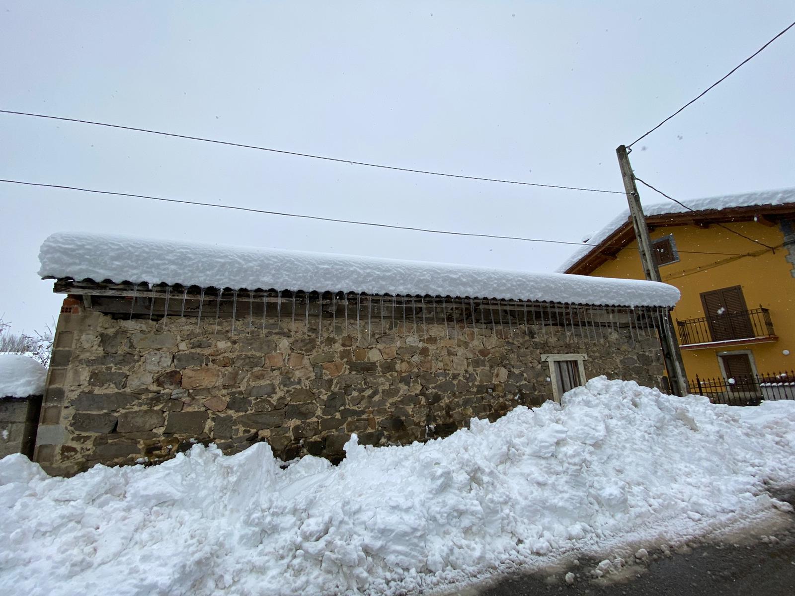 Fotos: La nieve tiñe de blanco el norte de la provincia