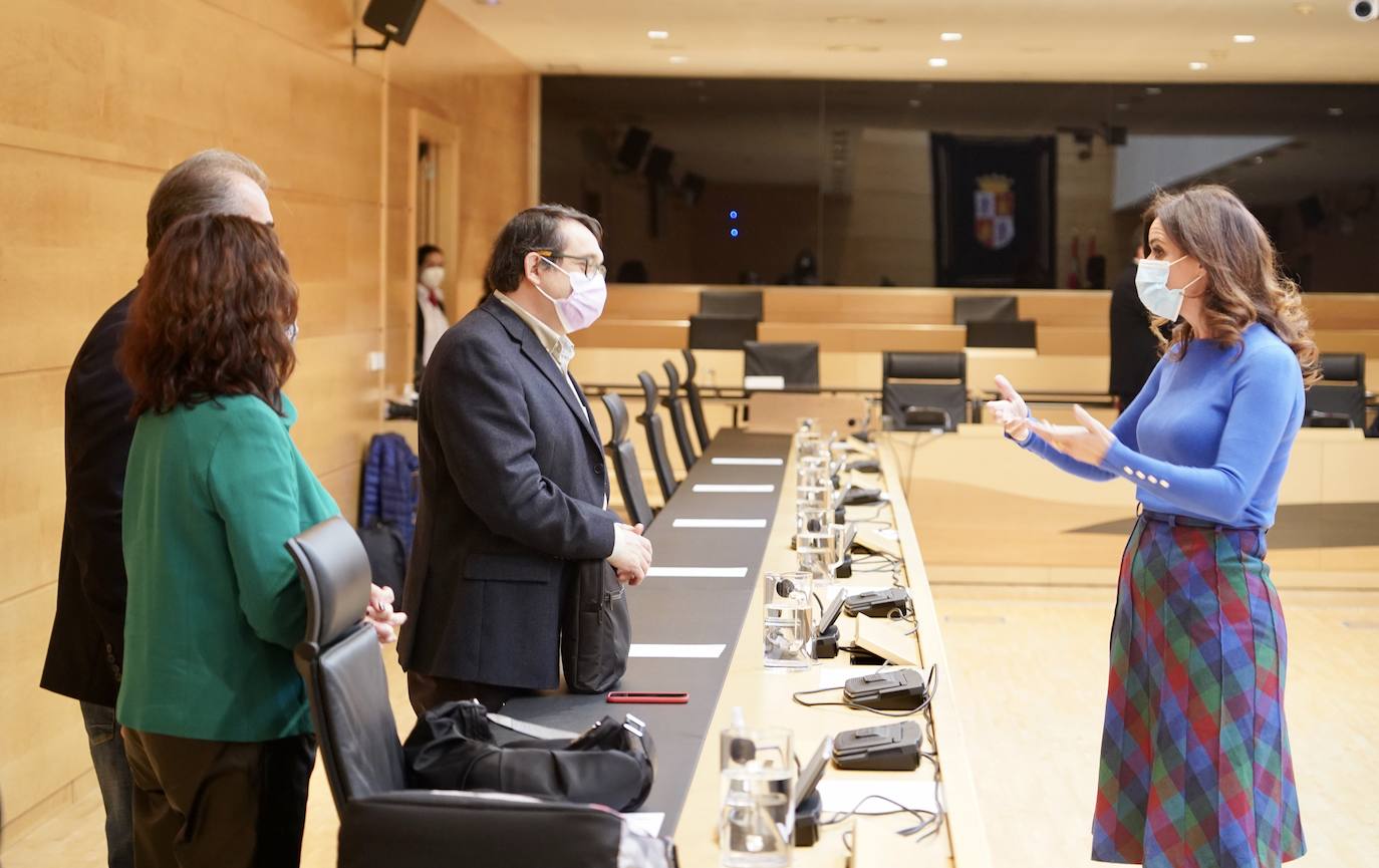 Fotos: Ana Carlota presenta los presupuestos ante las Cortes