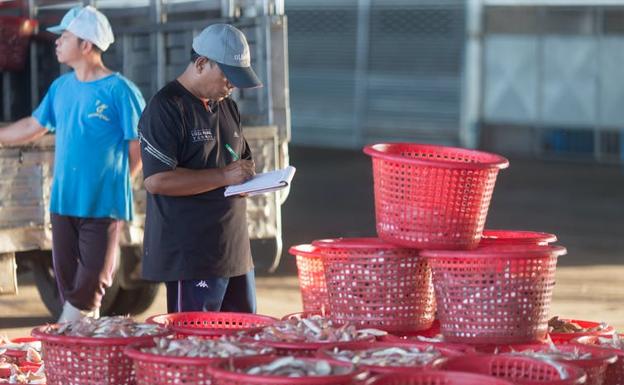 A escala global el nivel de compromiso con los límites de pesca es escaso, lo mismo que la capacidad para hacerlos cumplir. 