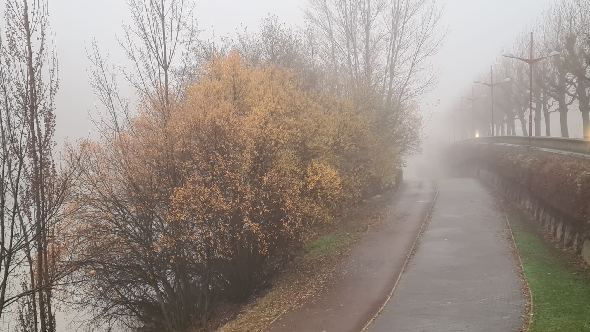 La ciudada amenece bajo un espeso manto de niebla que reduce la visibilidad en varios puntos.