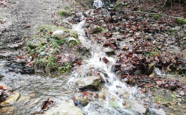 Galería. El agua y el susurro del arroyo acompaña toda la senda.