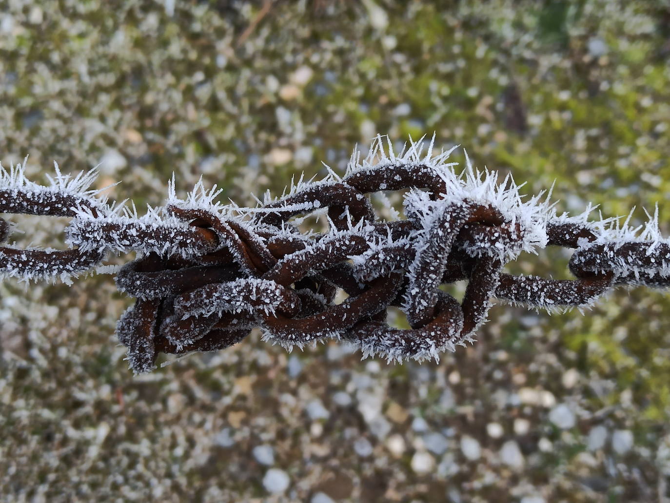 Fotos: Intensa helada en El Bierzo