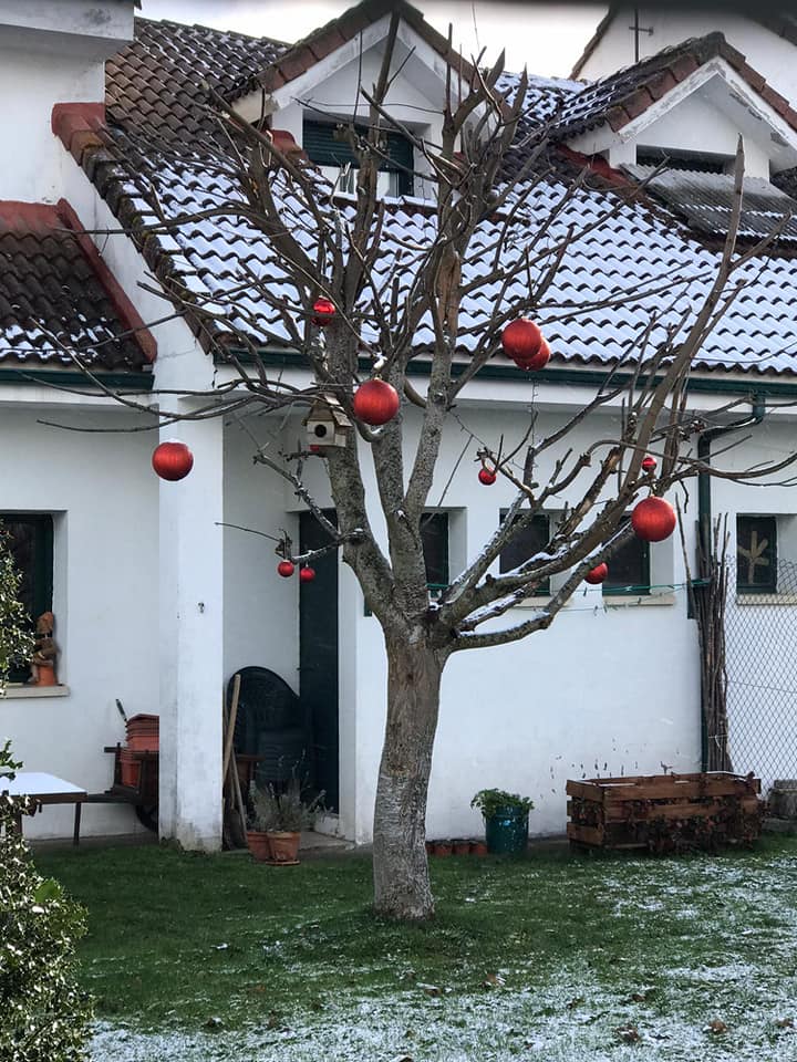 Fotos: Concurso de decoración navideña del Ayuntamiento de Burón