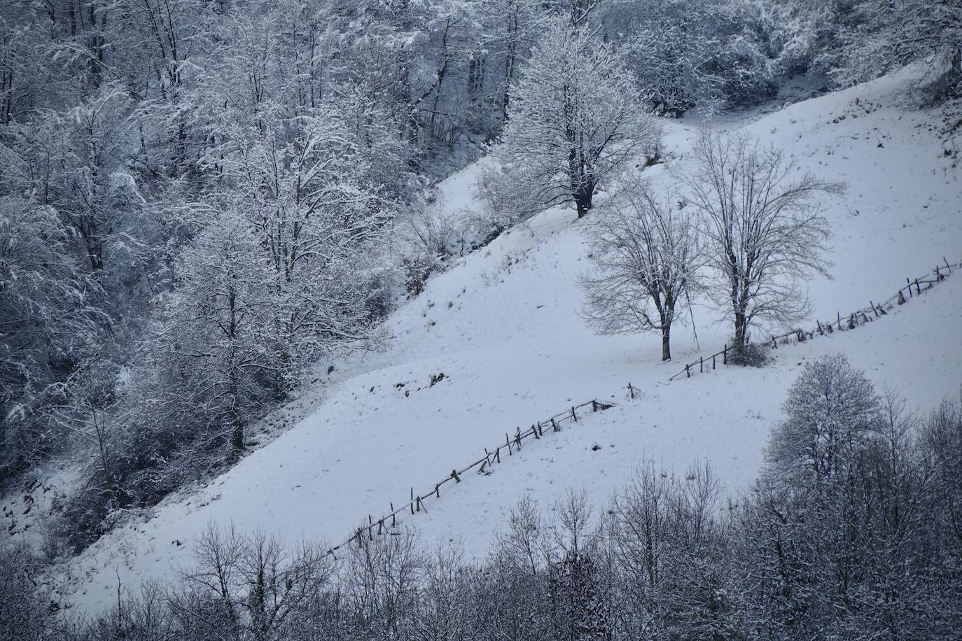 Fotos: Picos de Europa comienza el año bajo la nieve