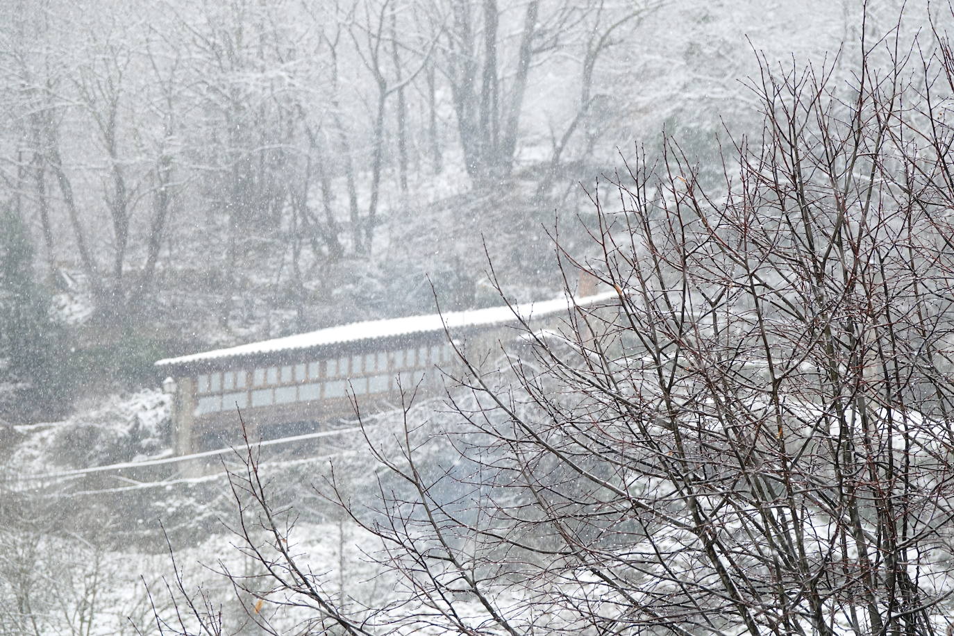 Fotos: Picos de Europa comienza el año bajo la nieve