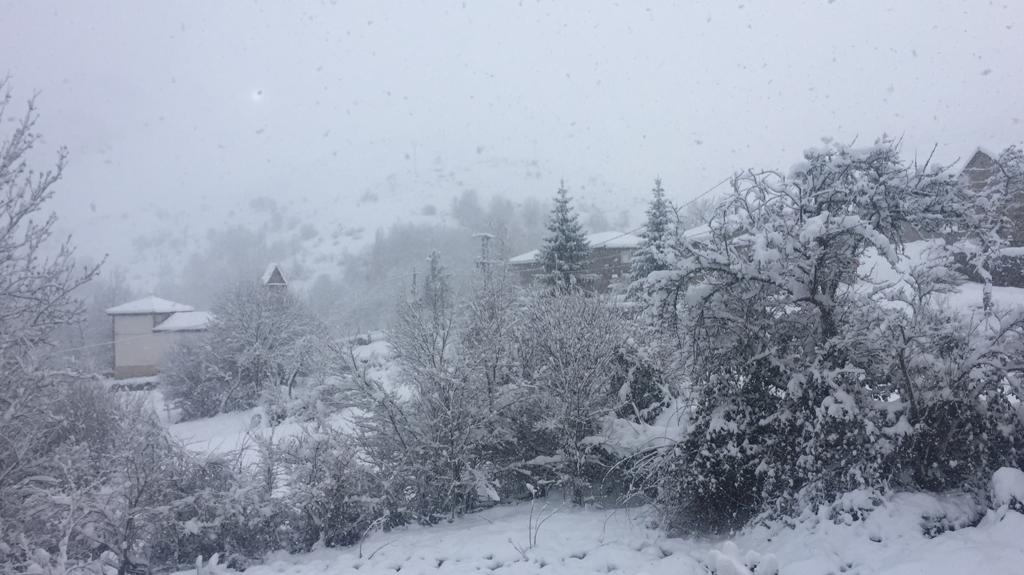 Diferentes municipios en cotas más altas han amanecido bajo una espesa manta de nieve que cubre calles y carreteras.