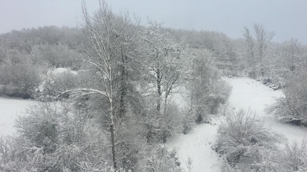 Diferentes municipios en cotas más altas han amanecido bajo una espesa manta de nieve que cubre calles y carreteras.