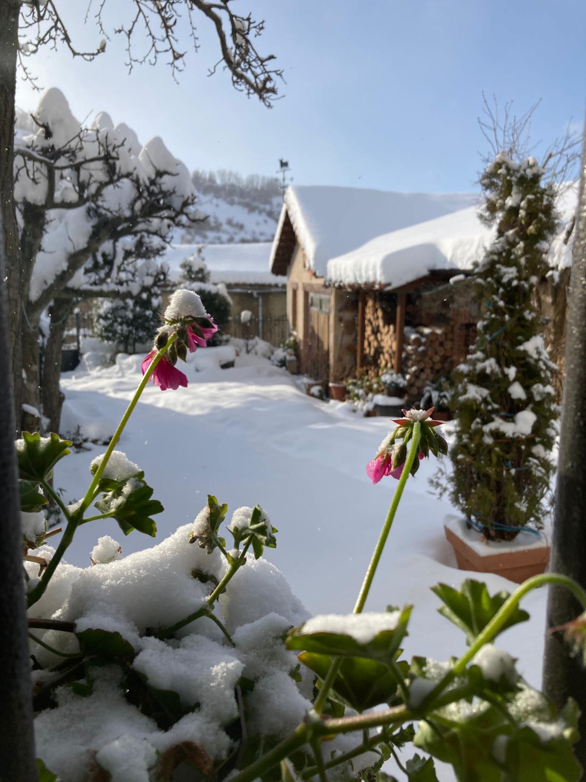 Diferentes municipios en cotas más altas han amanecido bajo una espesa manta de nieve que cubre calles y carreteras.