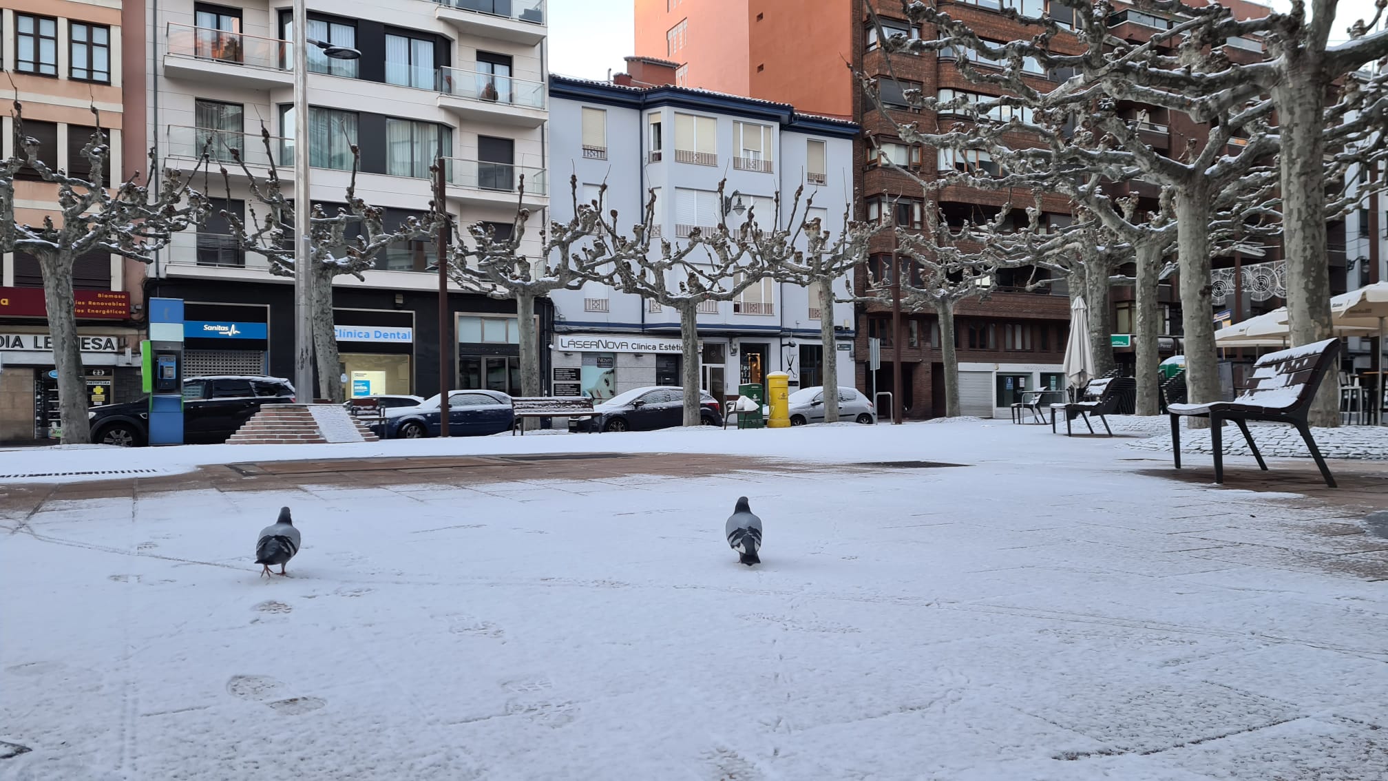 La ciudad se cubre de un manto blanco tras los copos caídos durante la madrugada.