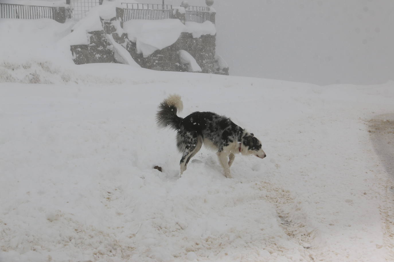 El norte vive una jornada bajo la nieve a la espera de una pequeña tregua.