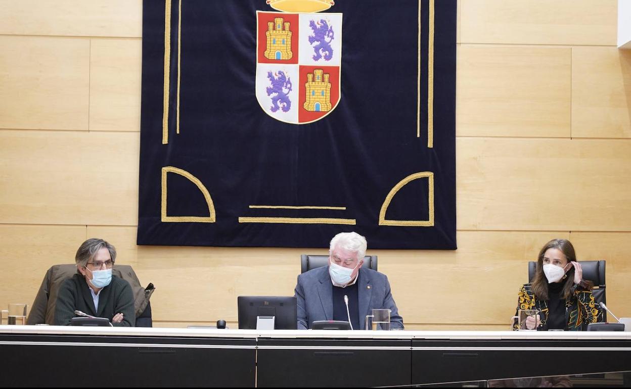 El exdirector gerente de ADE, Benedicto González Vereda, comparecen en la Comisión de investigación de las Cortes sobre las eólicas, el edificio de Arroyo de la Encomienda, los terrenos de Portillo y las sedes en el exterior.
