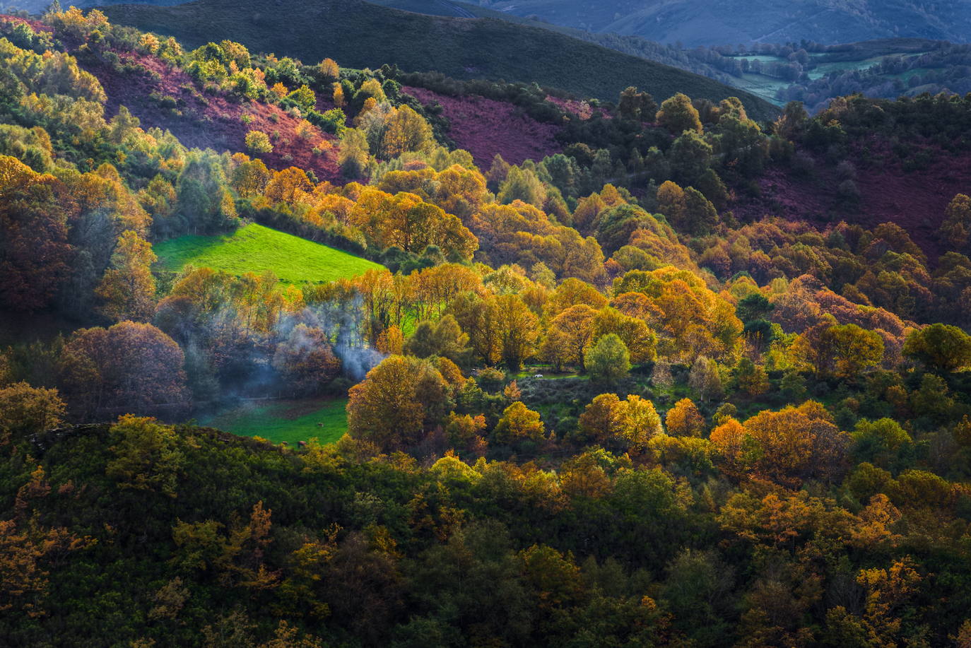 Courel (Galicia)