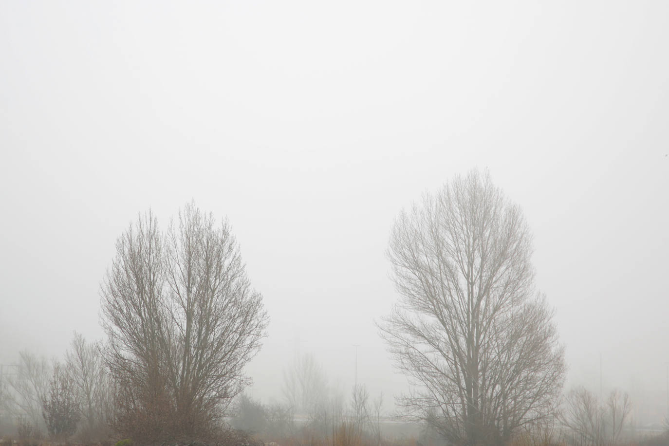 Fotos: La niebla se instala en la capital