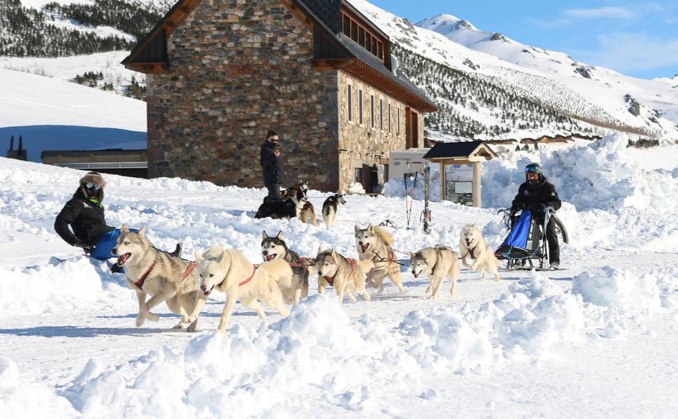 Club Mushing León se ha convertido un referente de este deporte. 