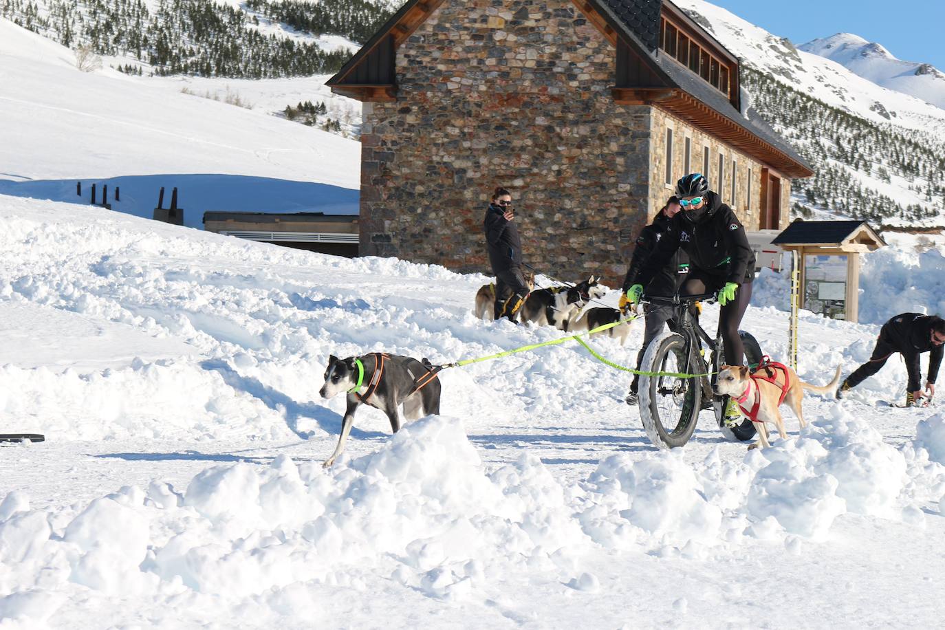 Velocidad, destreza, fuerza y pasión por la nieve unen al perro y al hombre. 