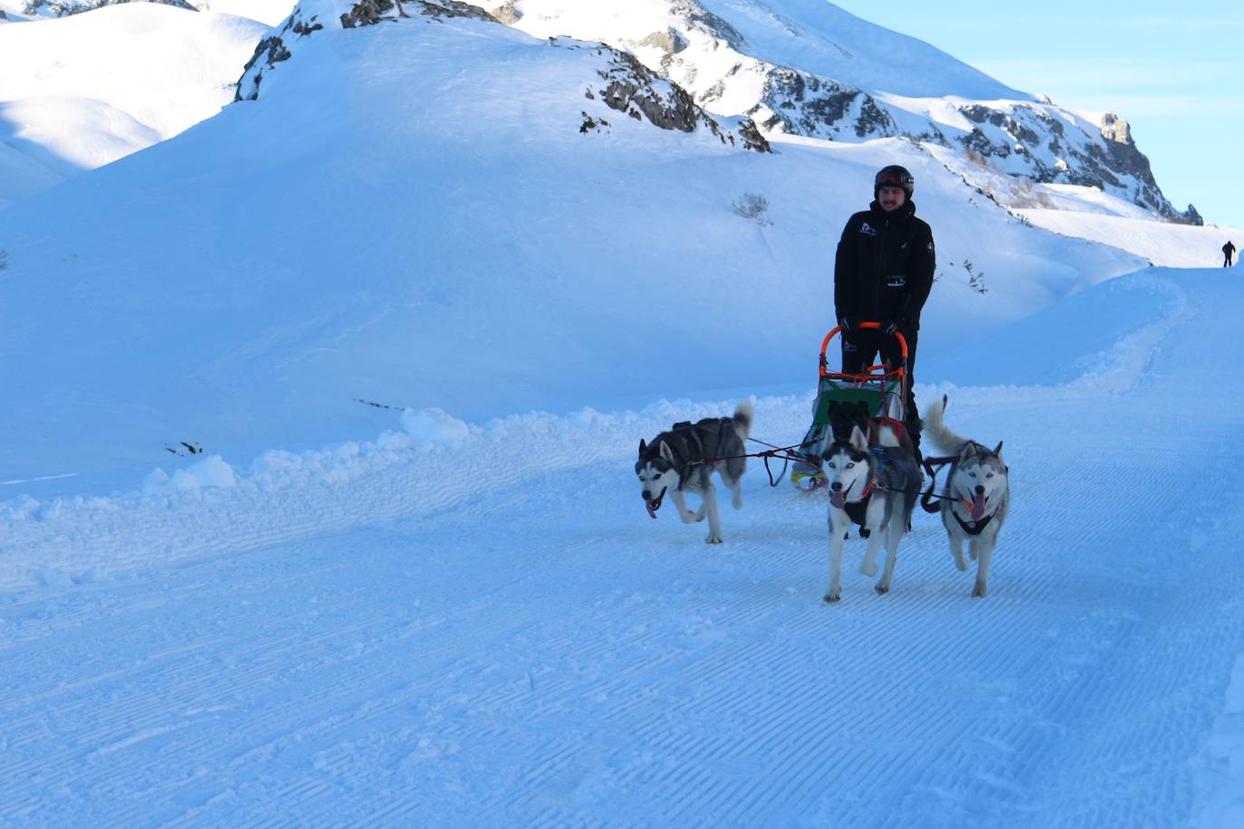 Velocidad, destreza, fuerza y pasión por la nieve unen al perro y al hombre. 