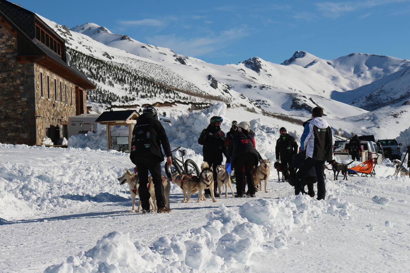 Velocidad, destreza, fuerza y pasión por la nieve unen al perro y al hombre. 