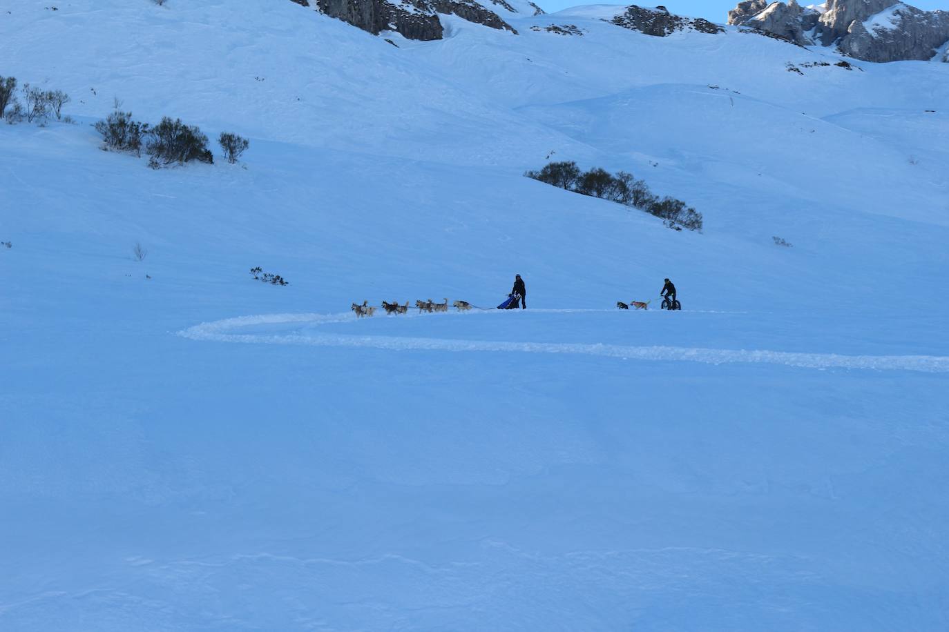 Velocidad, destreza, fuerza y pasión por la nieve unen al perro y al hombre. 