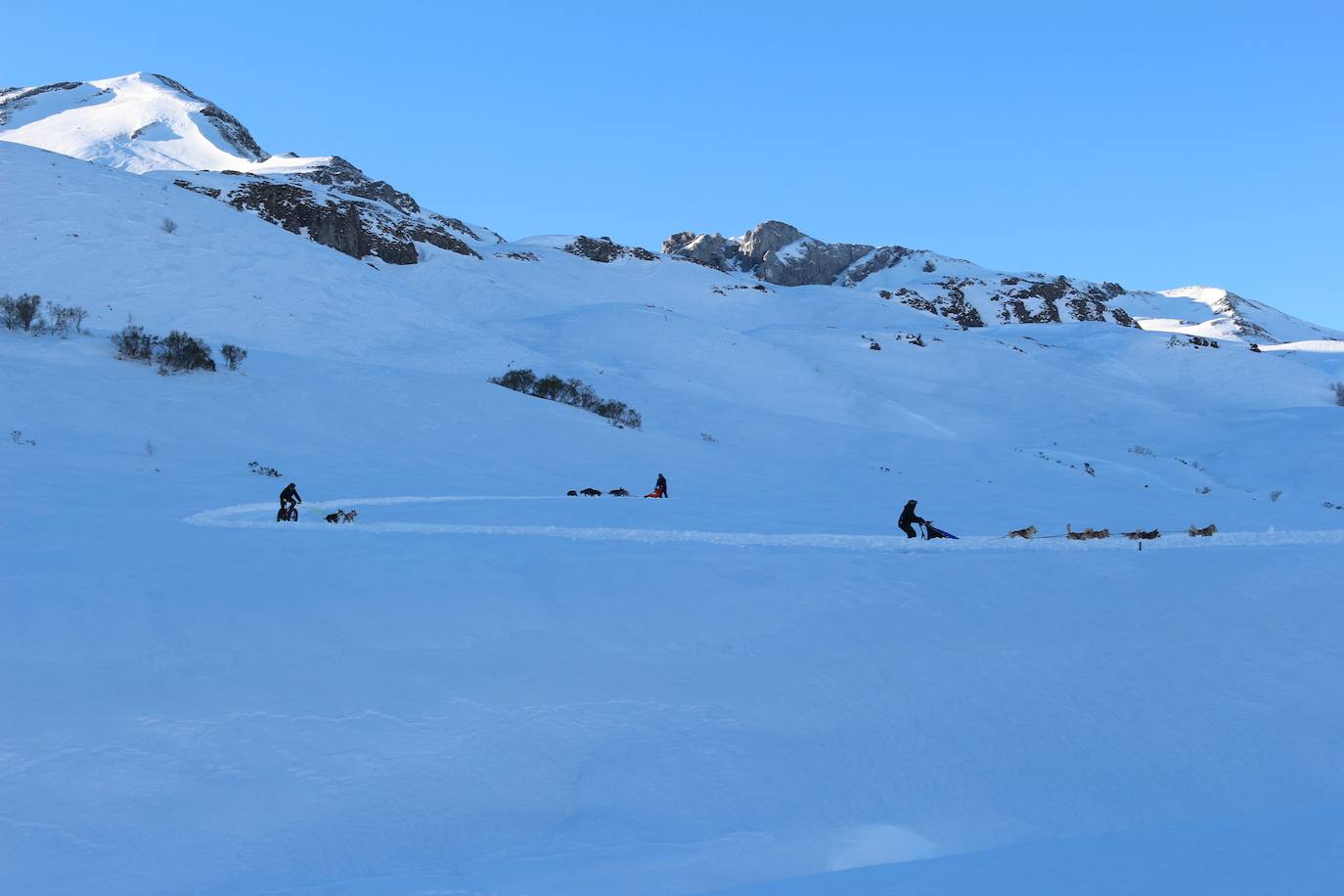 Velocidad, destreza, fuerza y pasión por la nieve unen al perro y al hombre. 