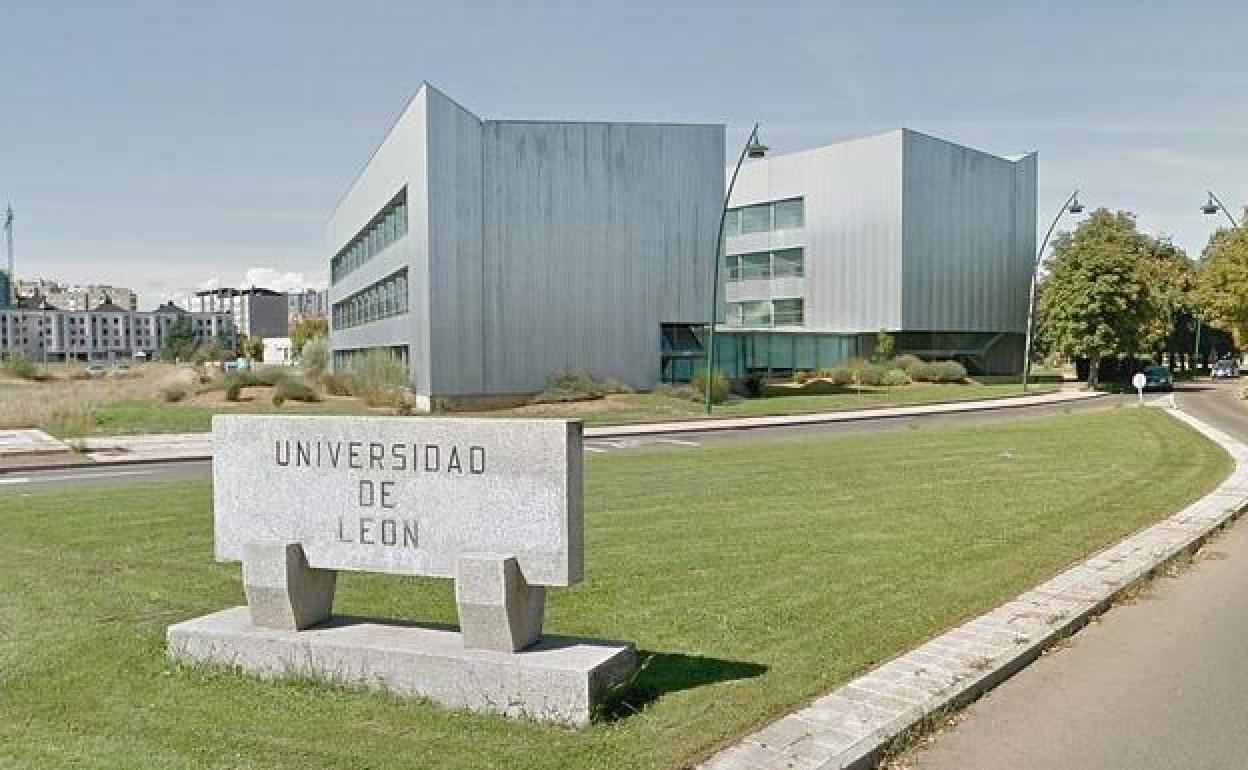 Las condiciones laborales de los universitarios han mejorado en los últimos cinco años. 