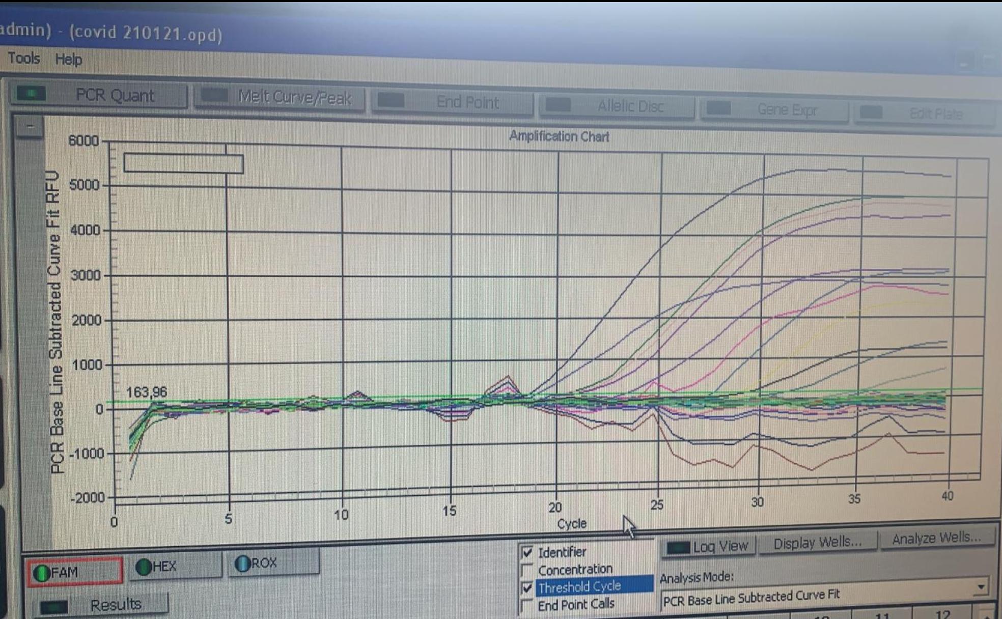 Gráficas de pruebas PCR con la carga viral disparada por la nueva cepa del coronavirus SARS-COV2.