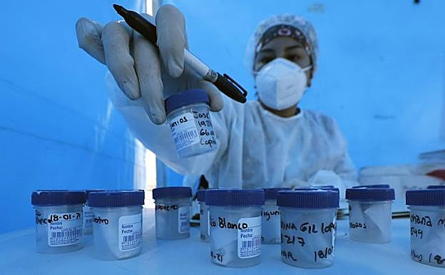 Los diagnósticos descienden a los 452 y León suma un fallecido por la covid-19