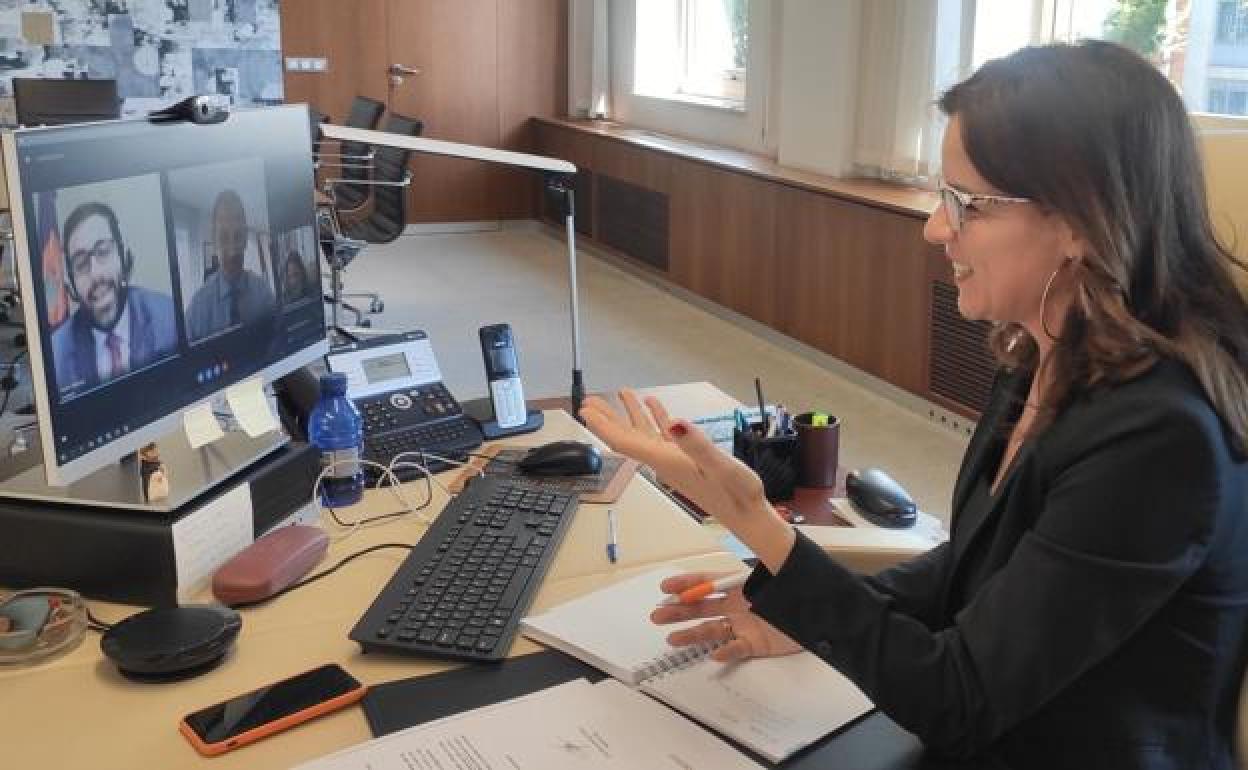 Ana Carlota Amigo, en una reunión telemática. 