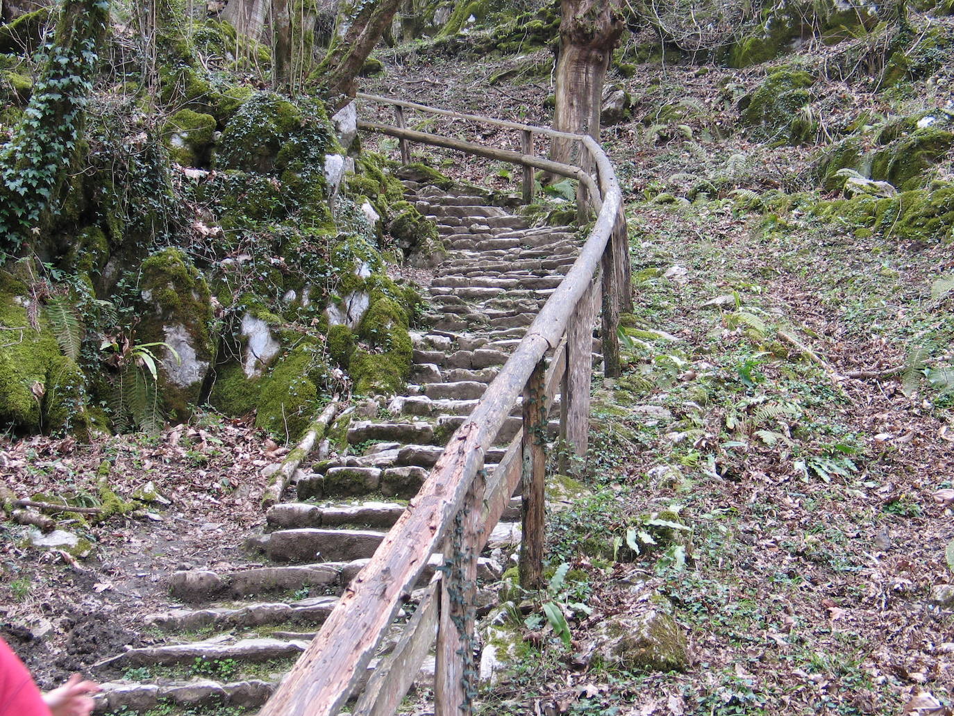 2.- Bosque de San Juan Xar (Navarra) | Cerca de la famosa cueva de Zugarramurdi se encuentra este espiritual bosque encantado, repleto de sombríos senderos de hojarasca. Fue declarado Reserva Natural en 1987. Entre sus árboles se esconde una singular ermita con la imagen de San Juan Bautista y una fuente de la que, dice la tradición, mana agua con propiedades curativas.